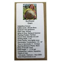 6 Degrees East Heirloom Flower Seeds - Sunflower - Giant